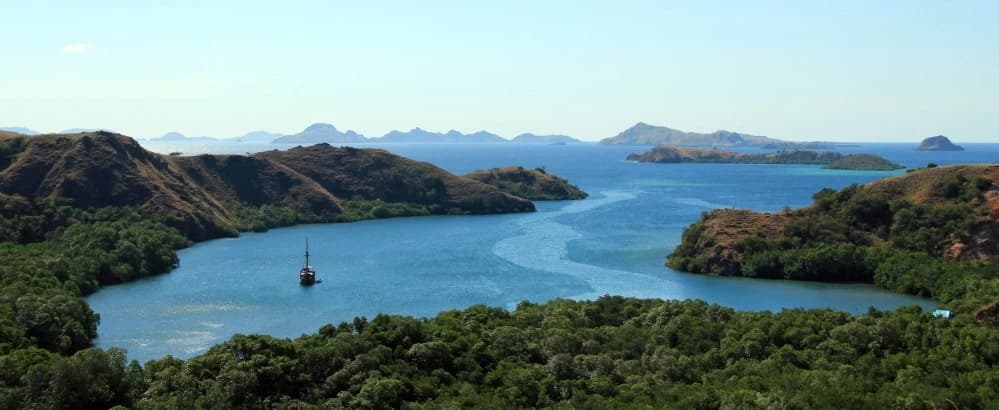 Komodo 2026: New 1,000 Visitor Limit & What It Means