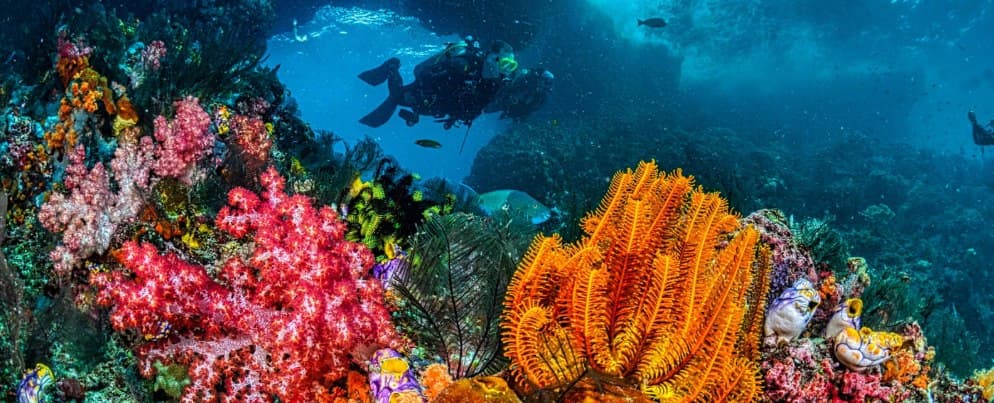 Labuan Bajo Deep Dive 2026 — A Curator Guide