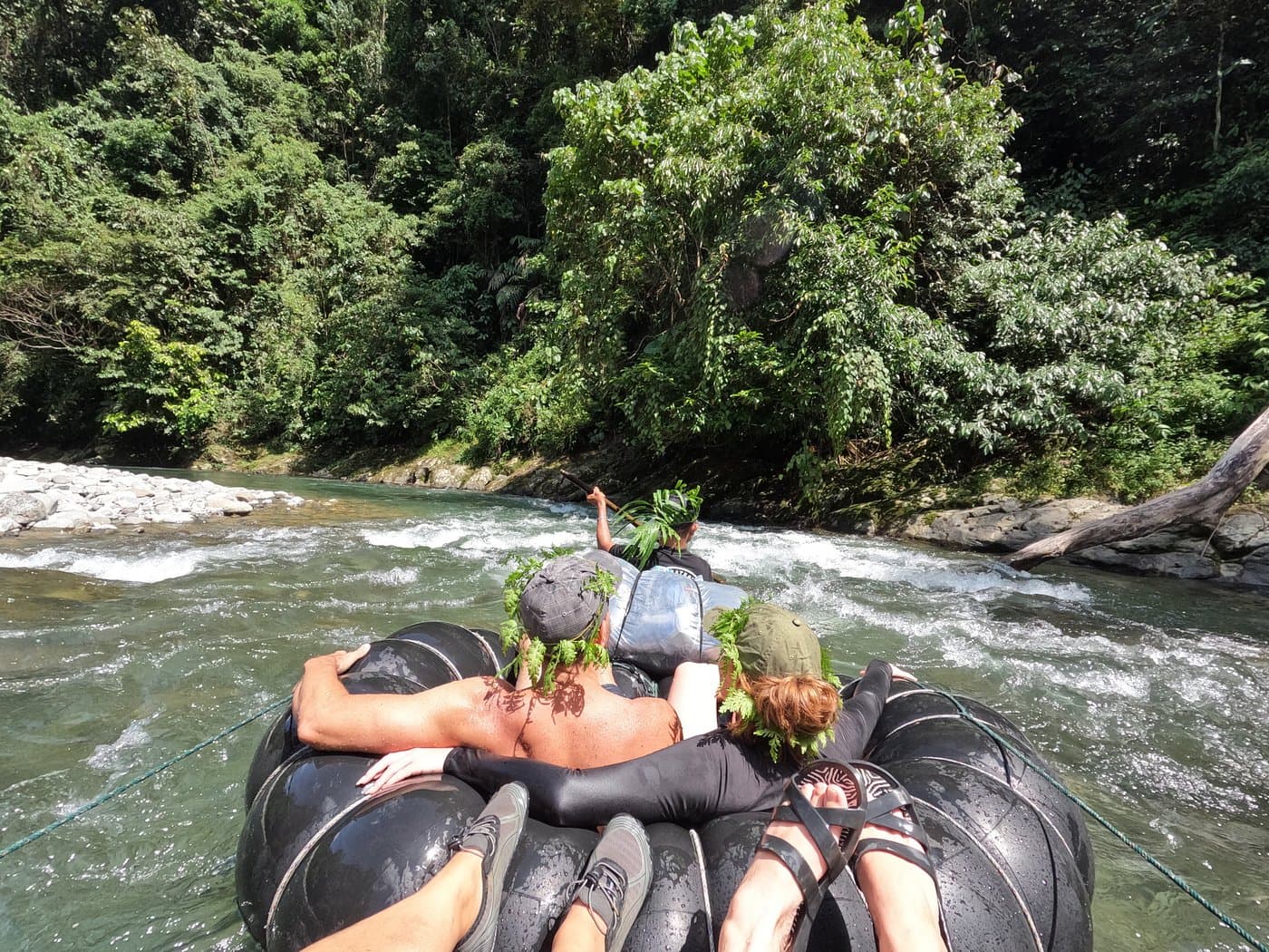 Into the Wild: Gunung Leuser Orangutan Trekking | 2D1N