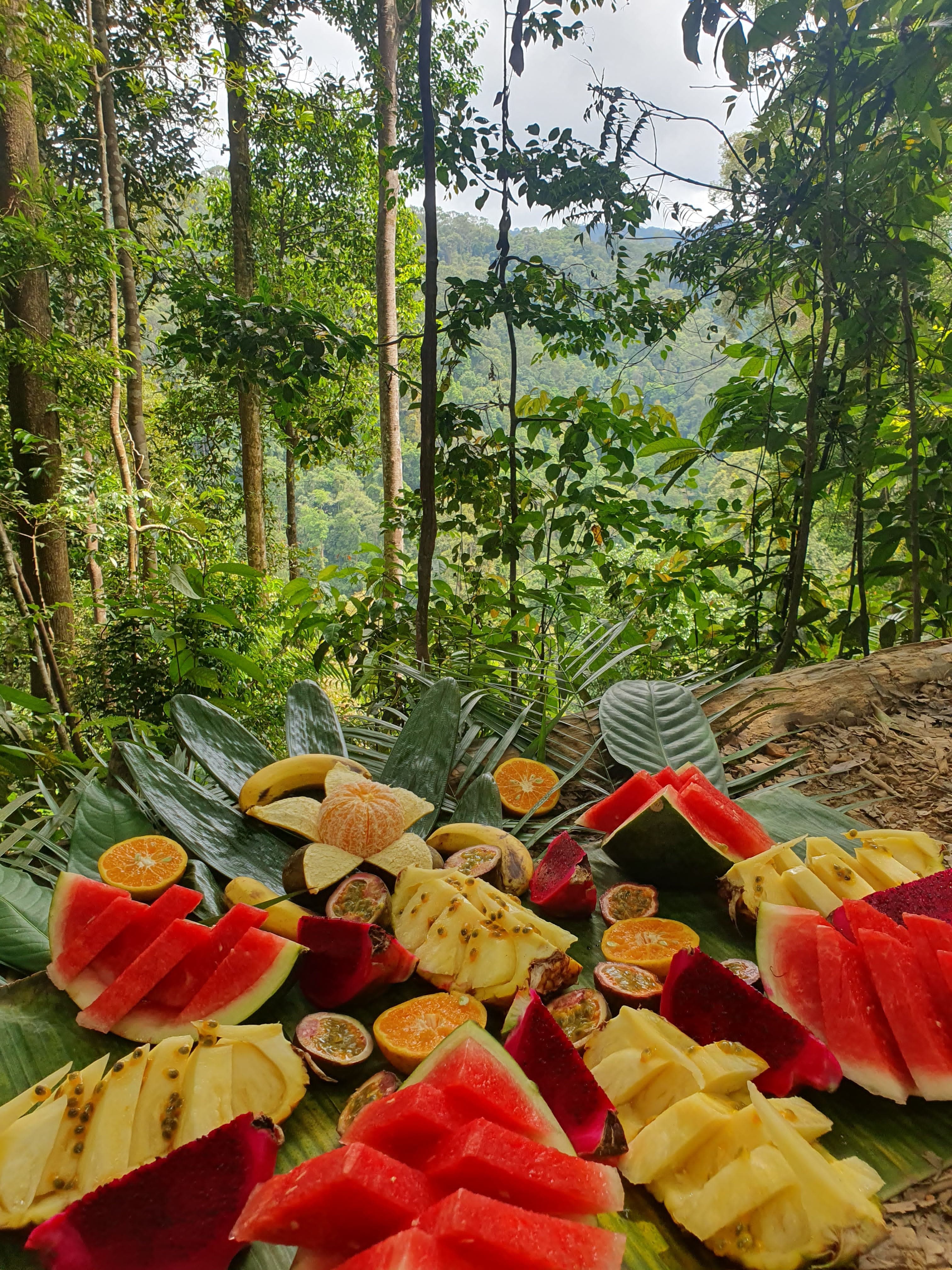 Deep Jungle Expedition Gunung Leuser 3 Days 2 Nights