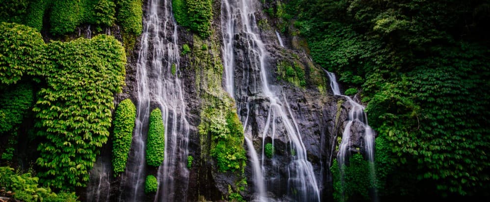 Full Day Trip Waterfall Tour (Sekumpul, Gitgit, Aling-Aling)