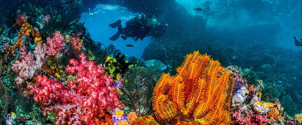 Tulamben Scuba diving