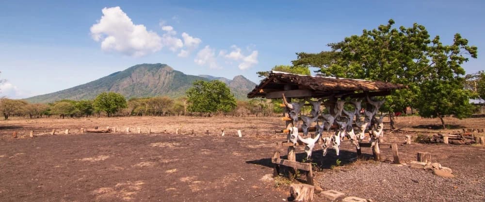 Baluran National Park: Africa van Java 2026 — Savanna, Wildlife & Beaches