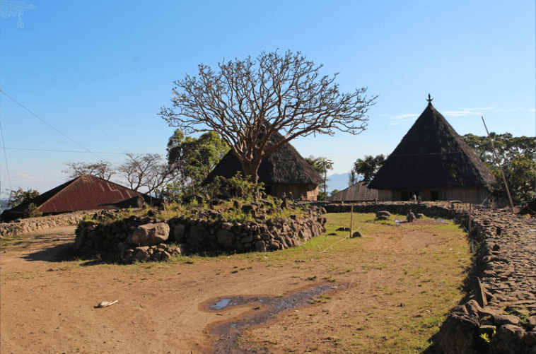 Todo Traditional Village: Manggarai's Oldest House & Royal Heart